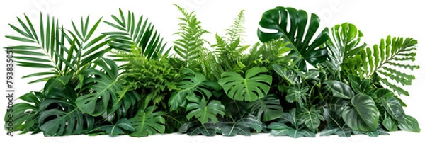 Obraz Beautiful composition with fern and other tropical leaves on white background. Banner design