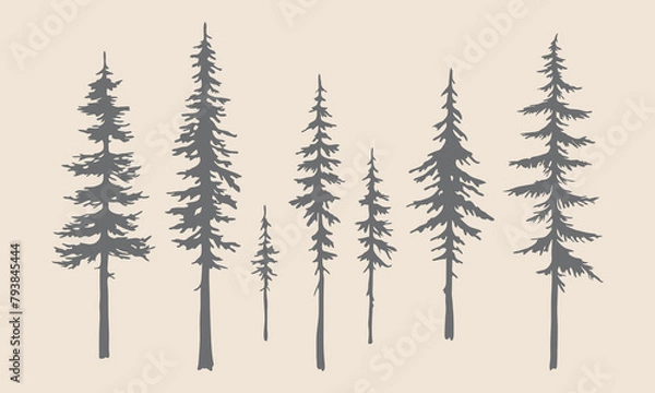 Obraz Narrow Pine Tree Silhouettes: Hand-Drawn Vector Illustrations with Intricate Detail.