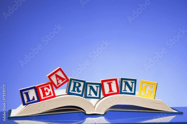 Fototapeta The word 'Learning'