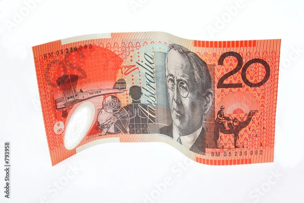 Obraz $20 note