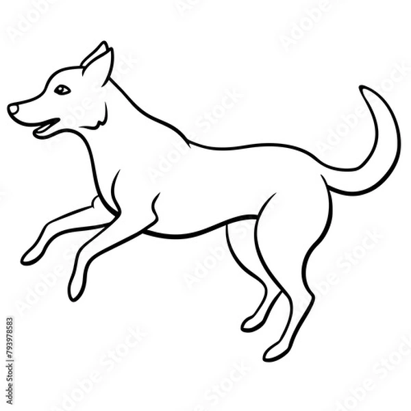 Fototapeta jumping dog vector illustration
