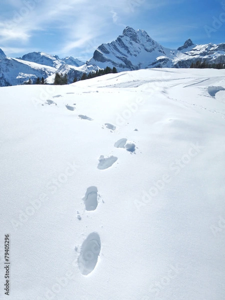 Obraz Footprints on the snow