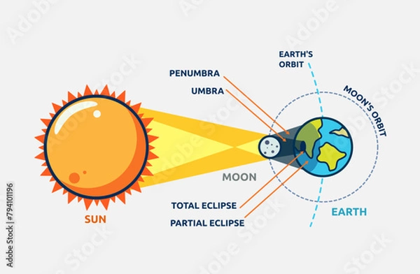 Fototapeta Vector illustration of solar eclipse diagram