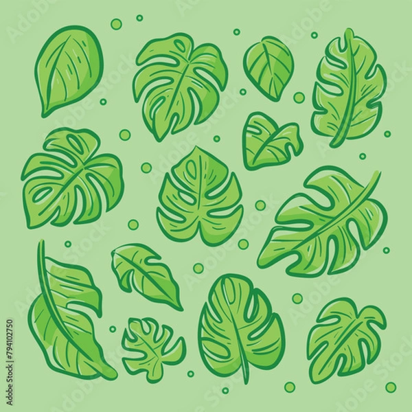 Obraz Monstera leaves pattern illustration vector design