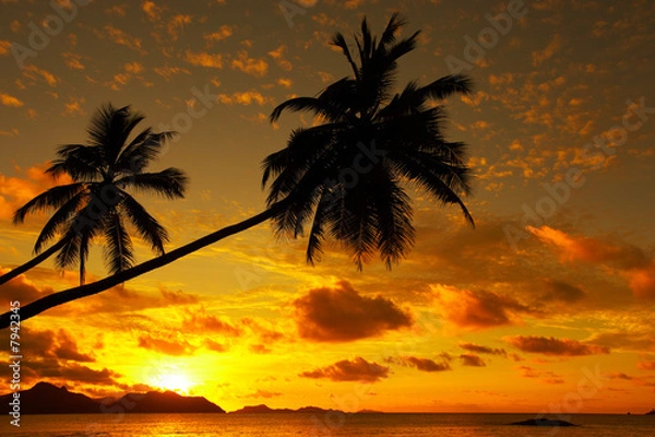 Fototapeta colorful tropical sunset with place for your text