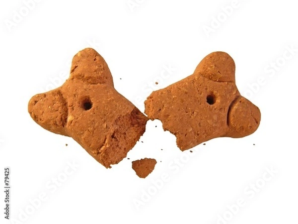 Obraz dog biscuit