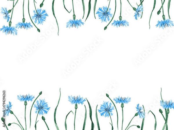Fototapeta Upside down wildflowers frame with cornflowers high resolution. Rectangle floral frame with beautiful meadow flowers and buds.