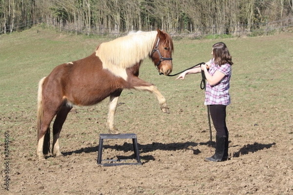 Obraz Ponette à la jambette sur un plot