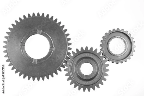 Obraz Three steel cog gear isolated on white.