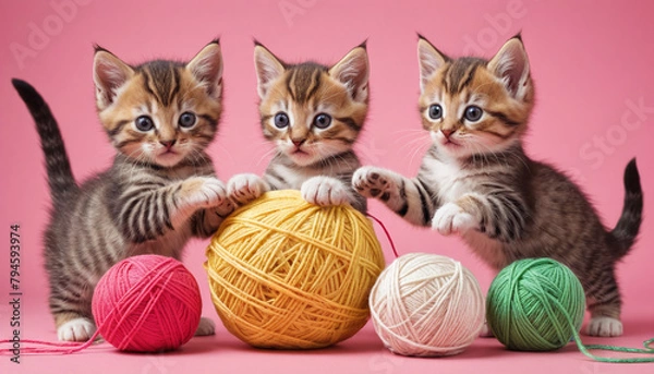 Obraz Playful Kittens with Yarn Balls