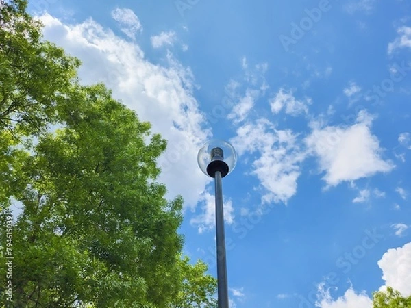 Fototapeta Round Glass Street Lamp Illuminating a Serene Summer Park with Vibrant Blue Sky and Lush Green Trees, Providing an Elegant and Functional Lighting Solution for Pathways and Streets.