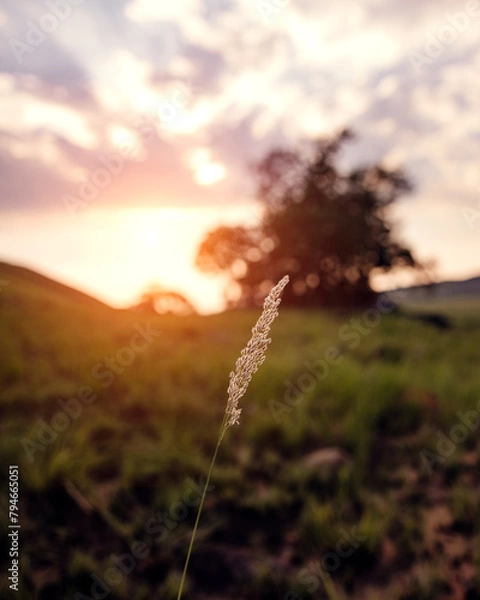 Obraz beautiful sunrise full of color to enjoy and take photographs