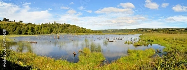 Fototapeta Pond in marshland on the island of Chiloe, Patagonia, Chile