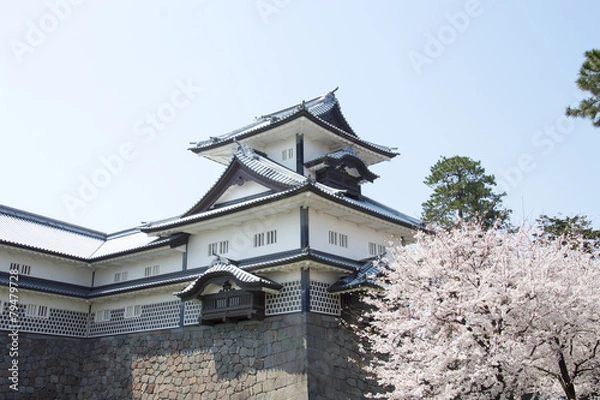 Fototapeta Kanazawa Castle and Sakura Blossom