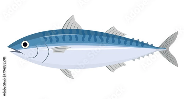 Fototapeta 鯖のイラスト