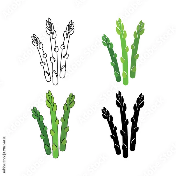 Fototapeta A set of asparagus icons. Color and black-and-white icons, silhouette and outline. Delicious and healthy asparagus. Vegetarianism. Vector illustration.