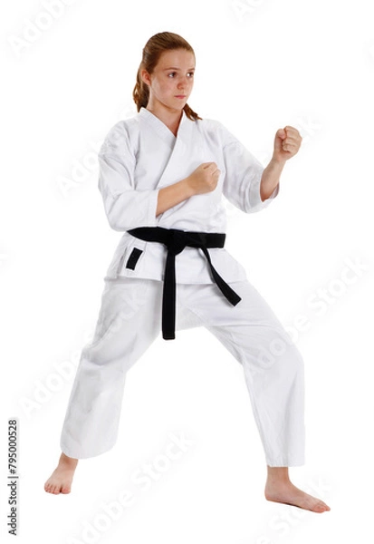 Obraz Karate girl kid isolated on transparent layered background.