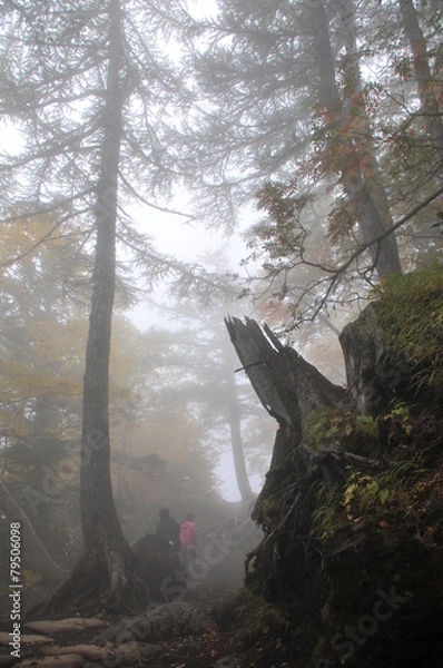 Obraz dentro das nuvens