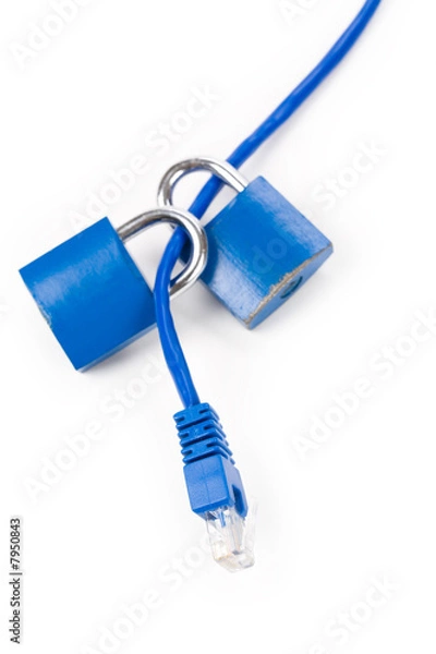 Obraz Lock and network cable