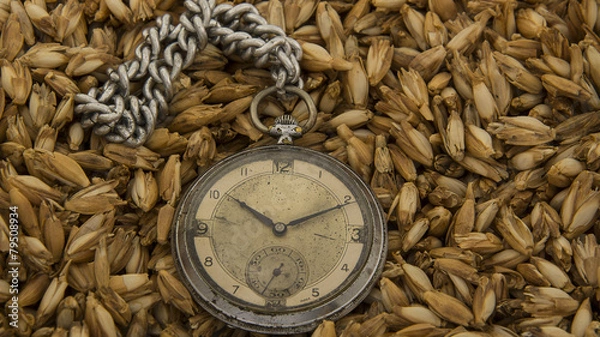 Fototapeta old pocket watch