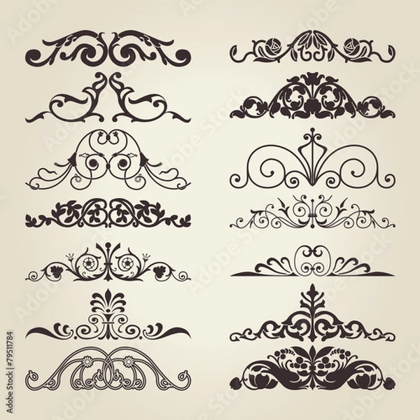 Obraz Vintage decorative elements