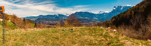 Fototapeta High resolution stitched alpine winter panorama with the dolomites in the background near Klobenstein, Ritten, Eisacktal valley, South Tyrol, Italy