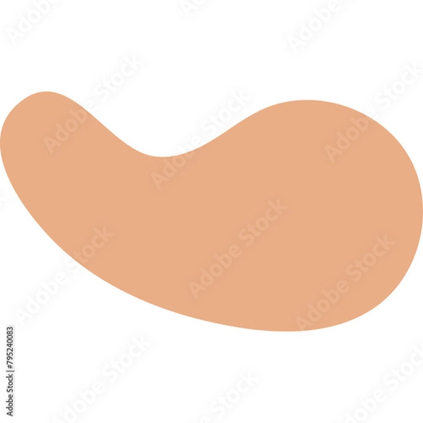 Obraz Boho Abstract Hand Drawn Organic shapes Element