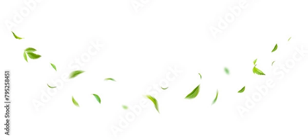 Fototapeta Green Floating Leaves Flying Leaves Green Leaf Dancing, Air Purifier Atmosphere Simple Main Picture.