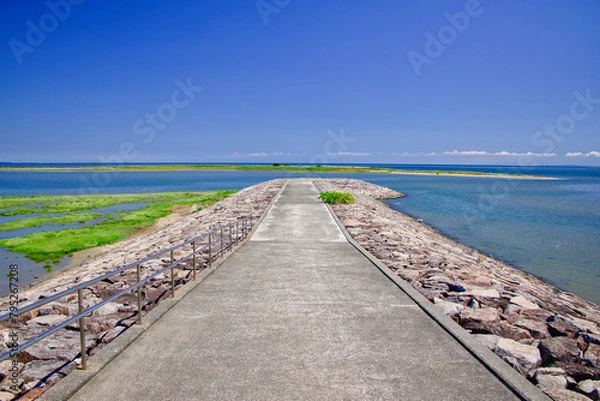 Fototapeta 海辺の遊歩道