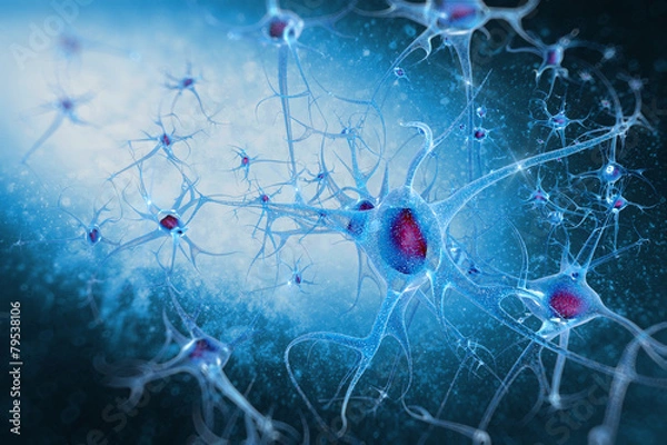 Obraz digital illustration neurons