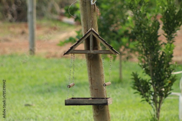 Fototapeta Comedouro Pássaros