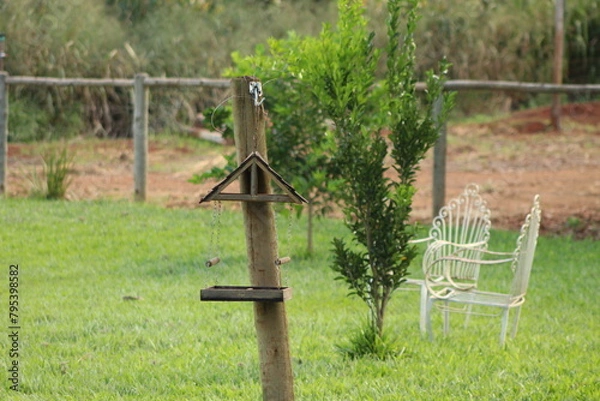 Fototapeta Comedouro Pássaros