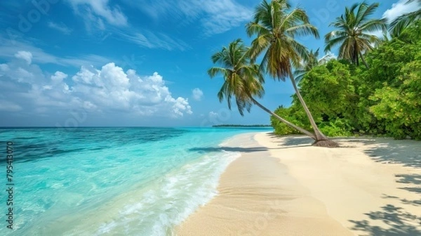 Fototapeta Luxurious tropical landscape. White sand with palm trees and azure sea. A heavenly place to relax. Beautiful exotic summer beach background for design.