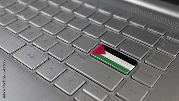 Fototapeta Keyboard with Palestine flag on the enter button, represents cyber attack, learning language