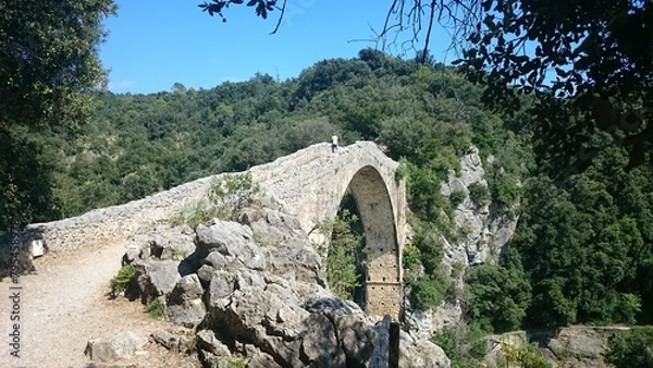 Obraz puente medieval
