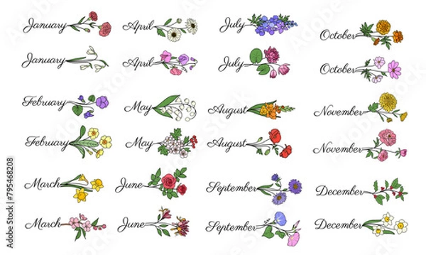 Obraz Vector birth flowers with month names