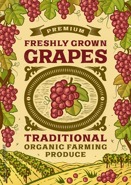 Fototapeta Retro grapes poster