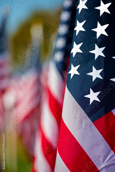 Obraz stars and stripes