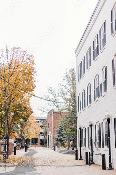 Obraz building in the city