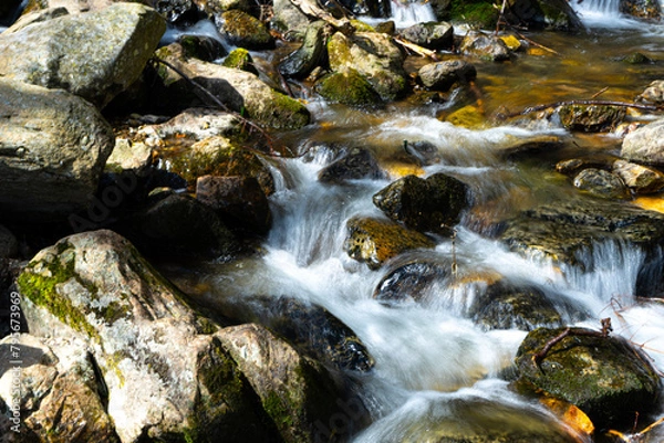Obraz Fliesender bach mit steinen 