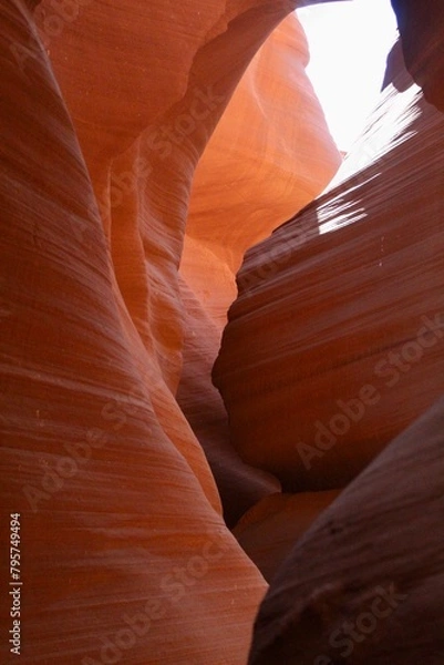 Obraz Red Canyon 