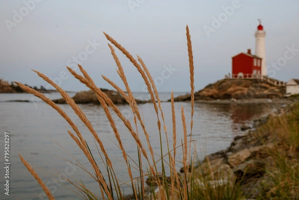 Fototapeta Lighthouse from the shore line.