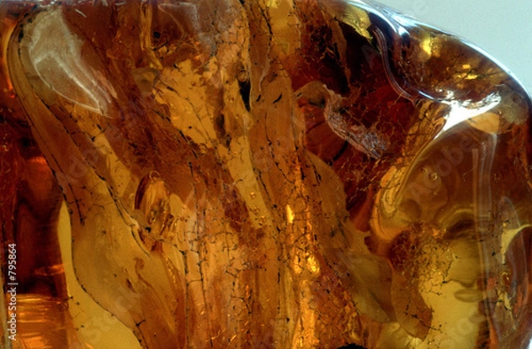 Fototapeta raw amber - 26