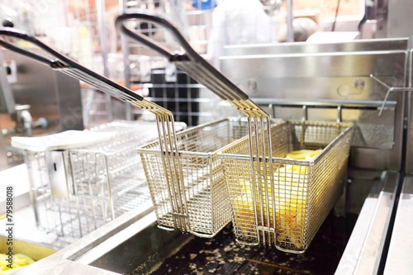 Obraz Deep fryer with french fries