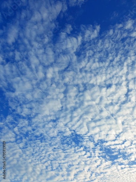 Obraz White heap clouds in the blue sky, Cloud Background, Wallpaper  Sky in Morning