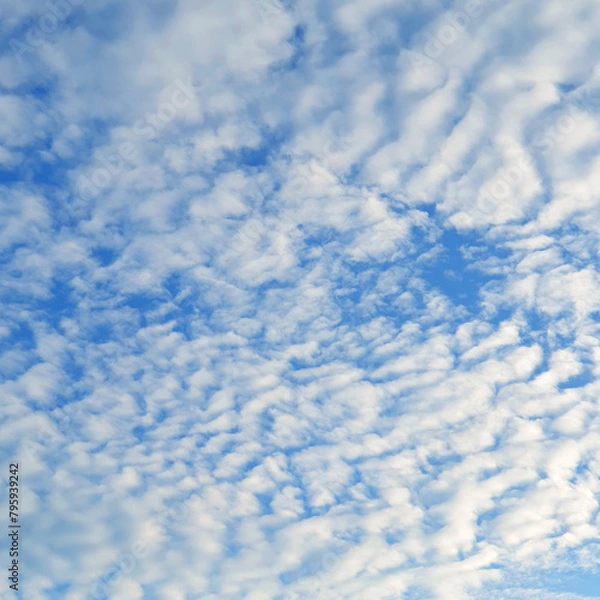 Obraz White heap clouds in the blue sky, Cloud Background, Wallpaper  Sky in Morning