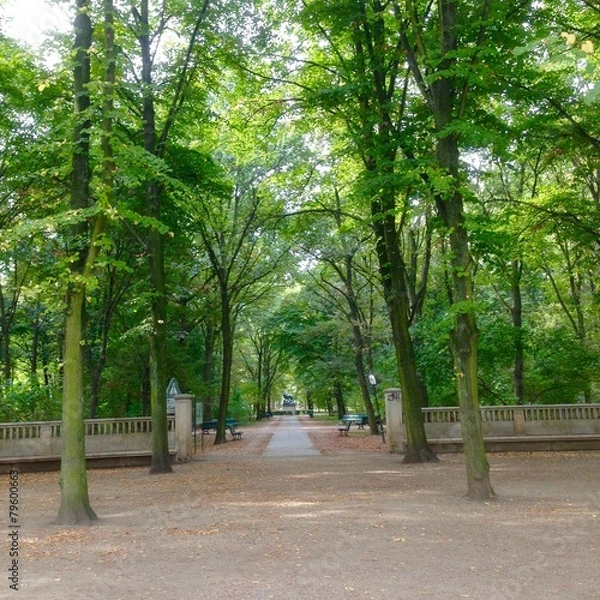 Obraz Park Path