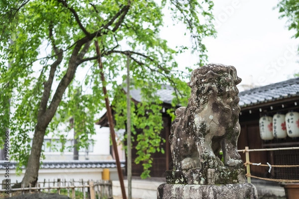 Fototapeta A guardian dog at a Japanese shrine