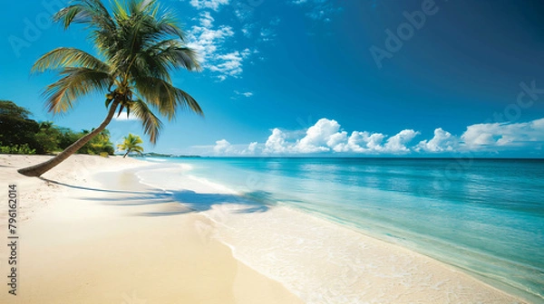 Obraz beach with palm trees