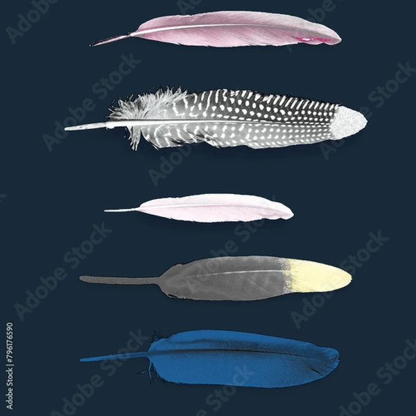 Obraz Textile and digital seamless pattern feather design 